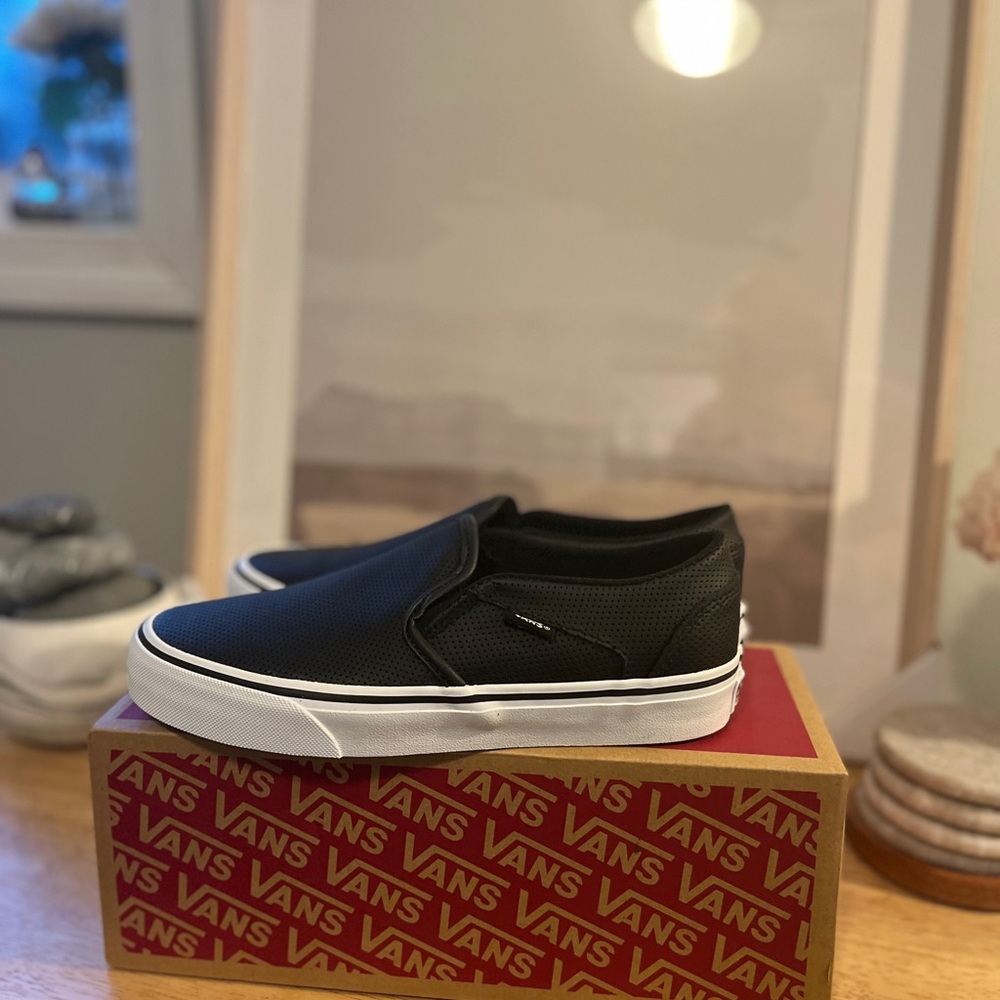 Vans Asher Slip on Sneakers